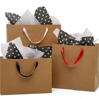 Paper Gift Shopping Bag best